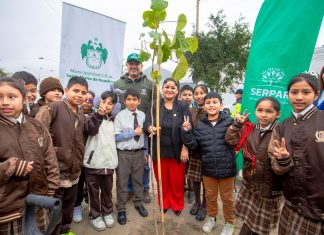 Centro Poblado Santa María de Huachipa recibió “Bono Árbol” de mil árboles Entrega de Bono Árbol