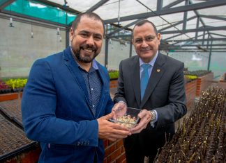 Día del Árbol: Plantamos cerca de 160,000 árboles en la capital Intercambio ambiental, entrega de mil semillas de El Salvador a Perú