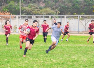 Serpar brinda talleres y escuelas deportivas y culturales gratuitas y a costos sociales Talleres gratuitos y a costo social