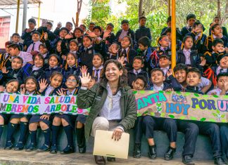 Bono Árbol beneficiará a cerca de 300 instituciones educativas de la capital Bono Árbol para colegios