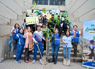 Lima Verde: Más de 185 000 árboles plantados