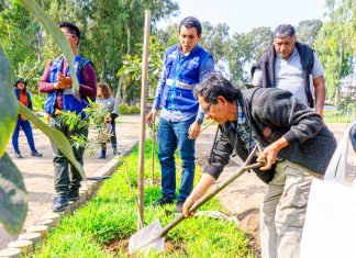 SERPAR plantó más de 600 árboles en el marco de la Semana Forestal Nacional SERPAR plantó más de 600 árboles en el marco de la Semana Forestal Nacional