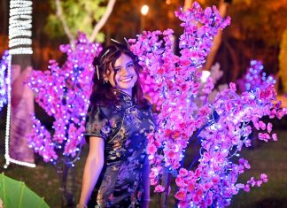 La tradición del Cherry Blossom Fest regresa al Circuito Mágico del Agua