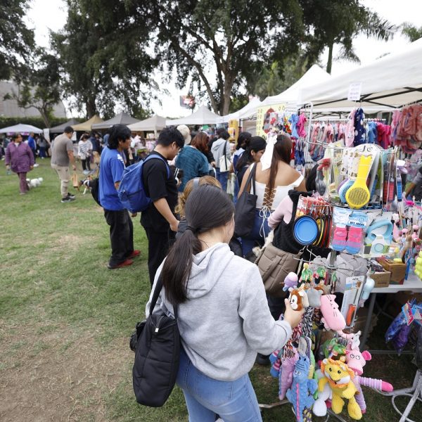 Festival cultural llega al Club Metropolitano Sinchi Roca