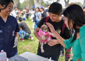 Patatón 2025: El festival benéfico para animales rescatados llega al Circuito Mágico del Agua