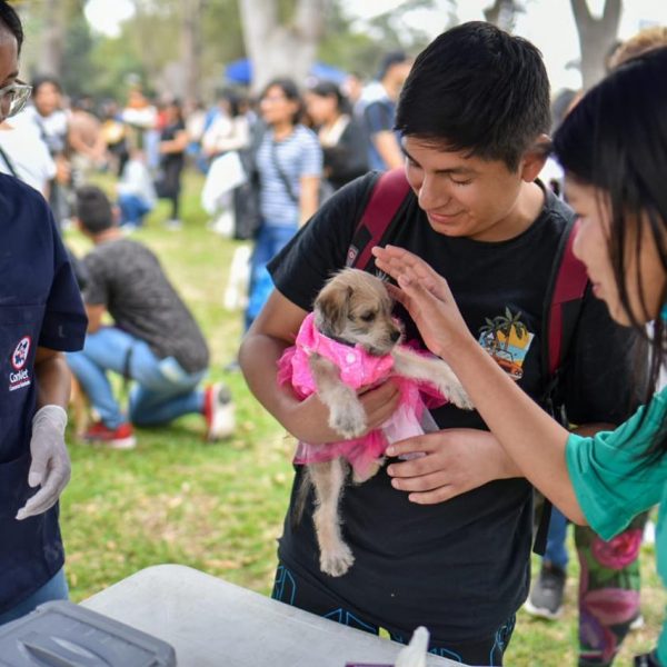 Patatón 2025: El festival benéfico para animales rescatados llega al Circuito Mágico del Agua