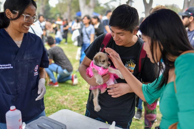 Patatón 2025: El festival benéfico para animales rescatados llega al Circuito Mágico del Agua