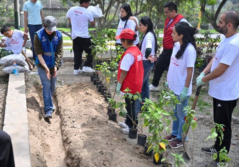 Más de medio millón de árboles fueron plantados en la capital gracias al Programa Lima Verde