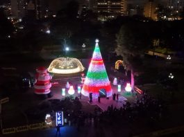 El Circuito Mágico del Agua realizará el encendido del árbol navideño interactivo