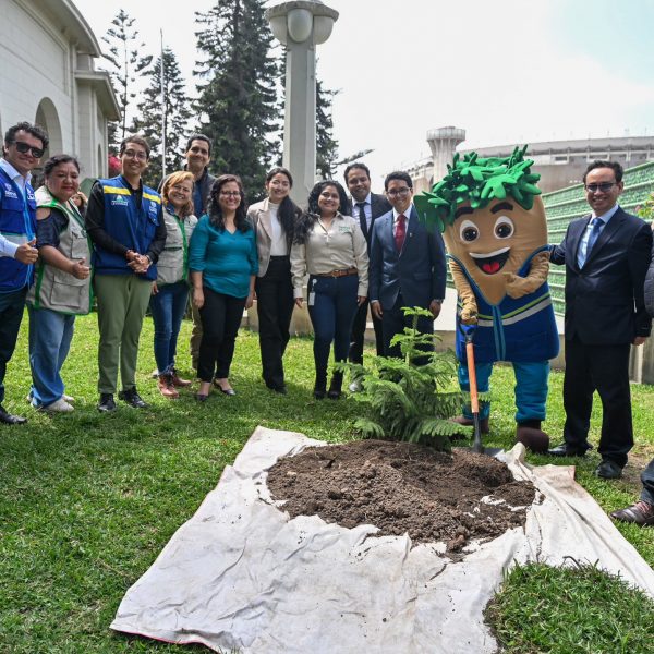 Más de 100 asistentes participaron en el simposio de conservación forestal organizado por la MML