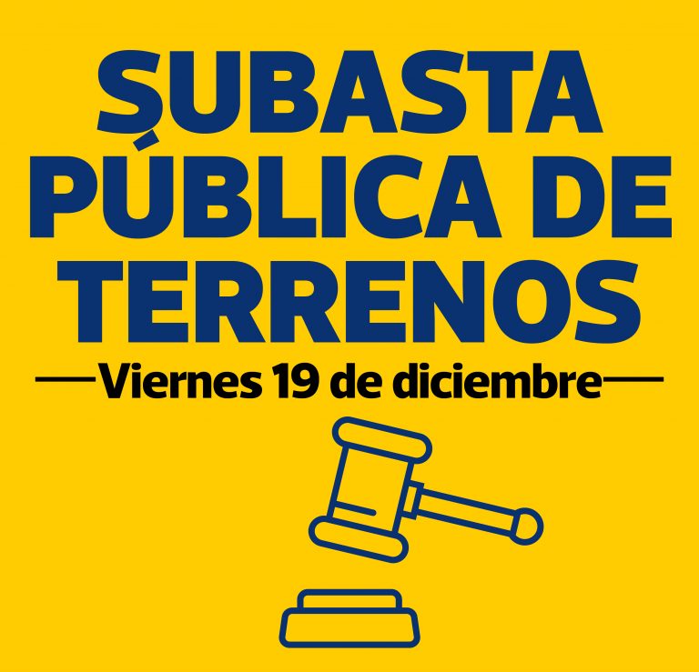 Subasta pública N° 003-2025