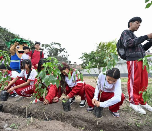 El Rímac suma 250 árboles gracias a iniciativa de arborización escolar liderada por el Programa Lima Verde