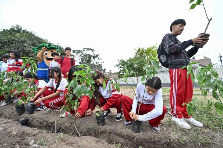 El Rímac suma 250 árboles gracias a iniciativa de arborización escolar liderada por el Programa Lima Verde