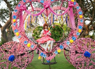 En febrero, el Circuito Mágico del Agua presenta el “Carnaval del Amor” por San Valentín