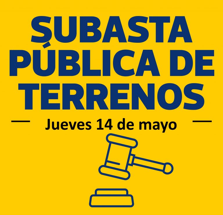 Subasta pública N° 001-2026