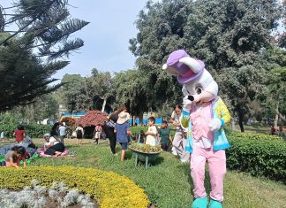 ¿Te quedas en Lima este feriado largo?: Descubre actividades que podrás disfrutar en los Clubes Metropolitanos de Lima