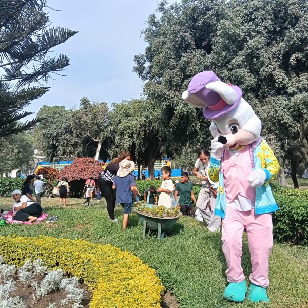 ¿Te quedas en Lima este feriado largo?: Descubre actividades que podrás disfrutar en los Clubes Metropolitanos de Lima