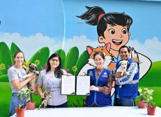 Perros y gatos en situación de abandono podrán acceder a esterilizaciones gratuitas en Vetsol de Huáscar
