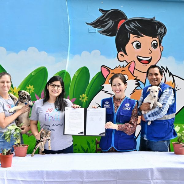 Perros y gatos en situación de abandono podrán acceder a esterilizaciones gratuitas en Vetsol de Huáscar