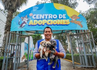 Municipalidad de Lima logra que cerca de 250 mascotas rescatadas de la venta ilegal encuentren un nuevo hogar