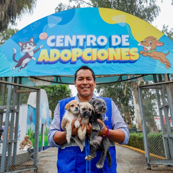 Municipalidad de Lima logra que cerca de 250 mascotas rescatadas de la venta ilegal encuentren un nuevo hogar