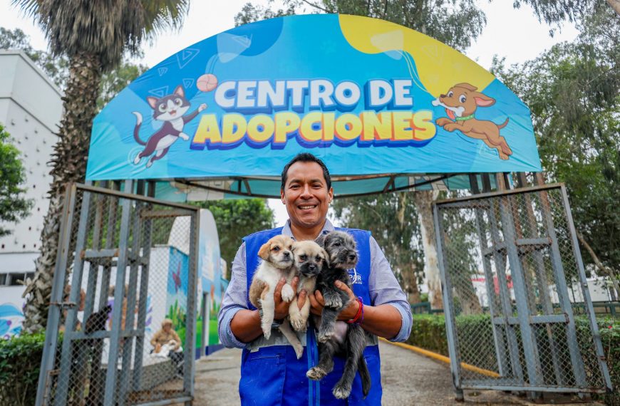 Municipalidad de Lima logra que cerca de 250 mascotas rescatadas de la venta ilegal encuentren un nuevo hogar