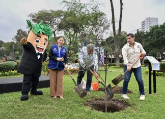 UN MILLÓN DE ÁRBOLES: MUNICIPALIDAD DE LIMA ALCANZA NUEVO HITO DE ARBORIZACIÓN URBANA